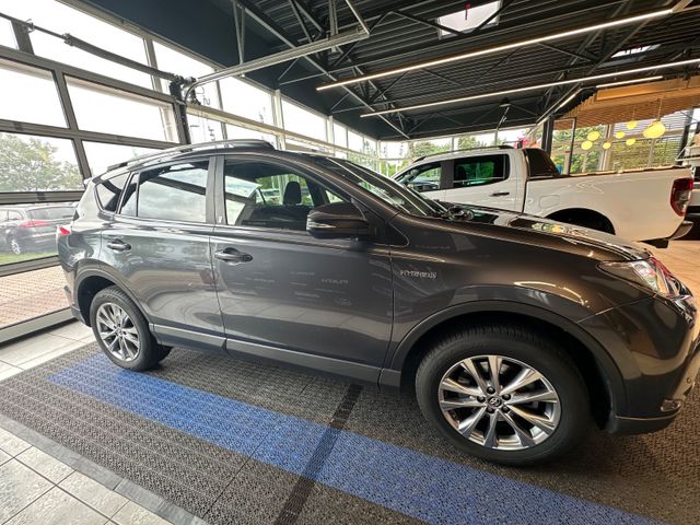 Toyota RAV 4  Team D