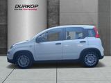 Fiat Panda 1.0 GSE Mild Hybrid DAB Spurhalteass. Verk - Fiat Panda in Magdeburg