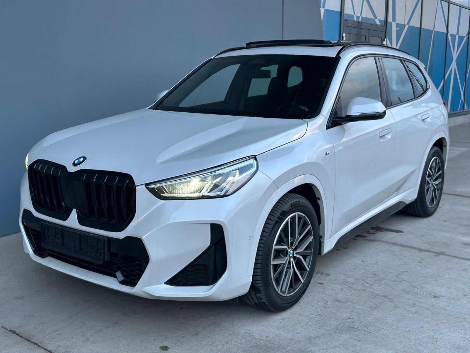 BMW X1 18 i sDrive M Sport Panor.Kamer.Volll