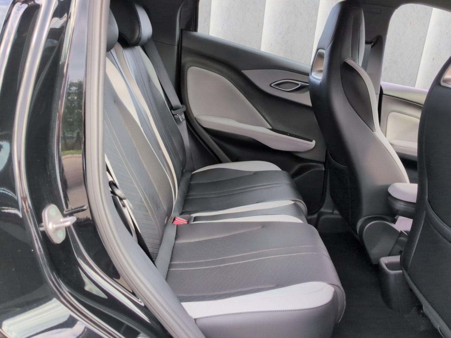 BYD DOLPHIN SURF