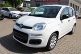 Fiat Panda 1.2 Klima TÜV neu - Fiat Panda Gebrauchtwagen in Augsburg