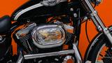 Harley-Davidson Sportster XL1200 100th Anniversary, 1Hd. - HARLEY-DAVIDSON 2003 SPORTSTER 1200