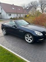 Mercedes-Benz Mercedes SLK 250 Cabriolet - Mercedes-Benz SLK 200: Mercede