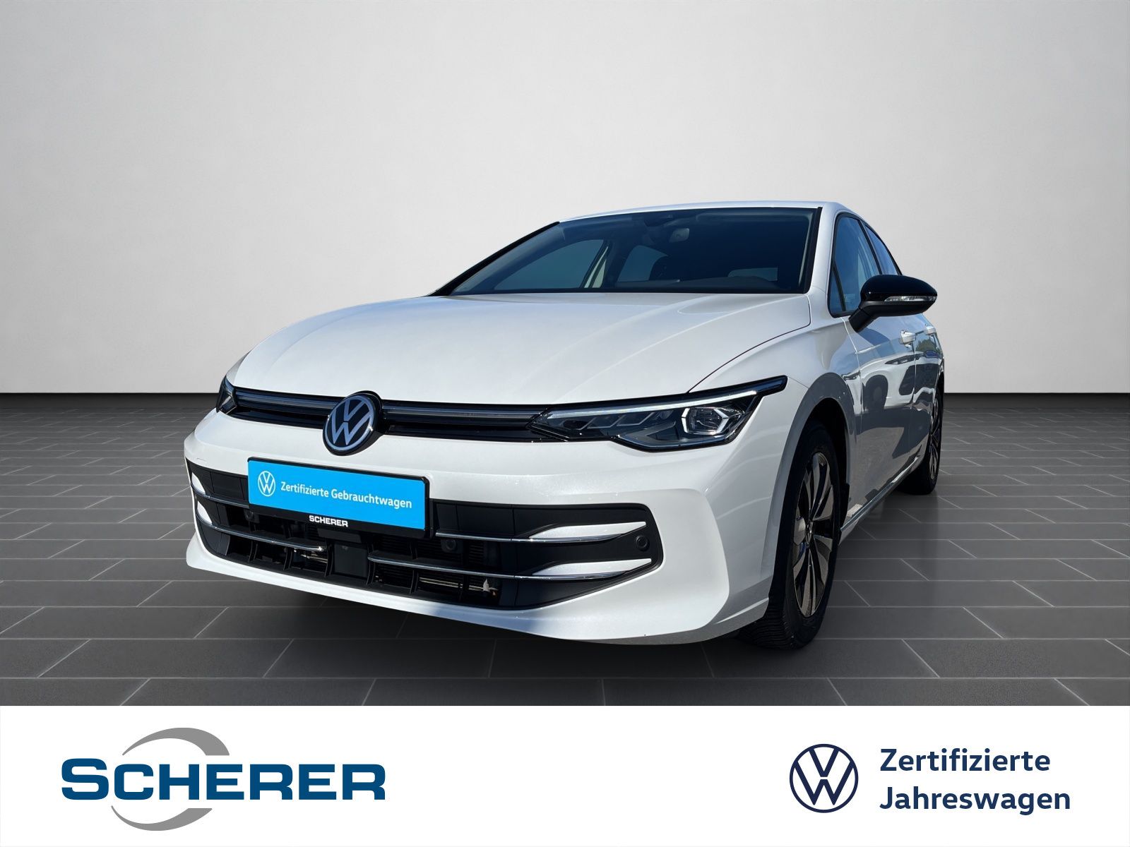 Volkswagen Golf VIII GOAL 1.5 eTSI DSG IQ.LIGHT NAVI RFK AH