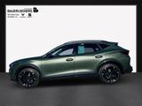 Cupra Formentor VZ Tribe Edition 2.0 TSI 245KW 333PS 4 - Neuwagen: 24