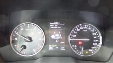 Subaru OUTBACK Platinum 2.5i 169 PS Lineartronic Sitzhe