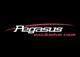 Pegasus exclusive cars GmbH & Co KG