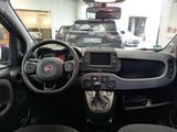 Fiat Panda Red NAVI PDC KLIMA - Fiat Panda: Red