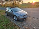 Volkswagen VW Golf 7 VII 1.4 122 ps Panorama! - Volkswagen Golf: 122 Ps