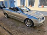 Mercedes-Benz Mercedes Benz CLK 500 Cabrio - Mercedes-Benz mit LPG-Antrieb: Cabrio