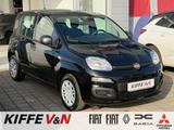 Fiat Panda 1.0 GSE Hybrid Icon PDC Freisp. Tempomat - Fiat Panda in Hamm