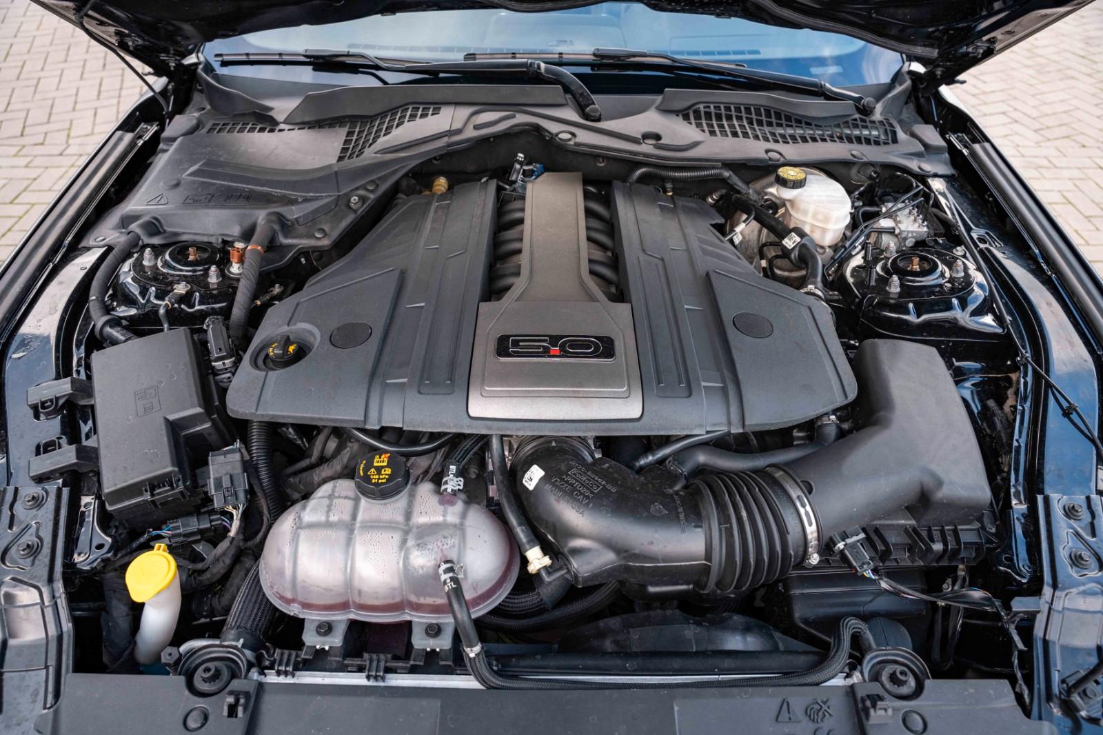 Ford Mustang GT 500 SHELBY PREMIUM SPUR TOP