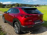 Mazda CX-30 2.0 e-SKYACTIV-X M-Hybrid Selection - Mazda CX-30 von privat