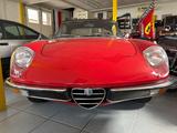 Alfa Romeo Spider 2000 Veloce | 104768 Miles  - gebrauchte Alfa Romeo Spider aus dem Jahr 1976