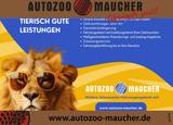Volkswagen T7 Caravelle 2.0 TDI DSG LR 8SITZE/NAVI/MATRIX - Volkswagen T7 Caravelle Tageszulassungen
