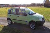 Fiat Panda 4x4 Allrad mit Anhängerkupplung - : Allradantrieb, Kleinwagen, mit