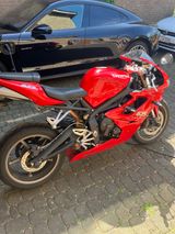 Triumph Daytona 675 - TRIUMPH 675 DAYTONA