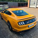 Ford Mustang  Mach 1 - Neuwertig - gebrauchte Ford Mustang aus dem Jahr 2024