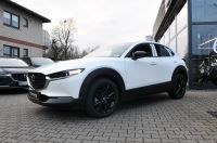 Mazda CX-30 - Vorschau Bild 8