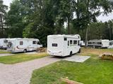 Forster A699VB  - Offers