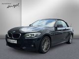 BMW 218i Cabrio M Sport,NAVI,LED,SHZ,LENKRADHEIZUNG, - BMW: Lenkrad