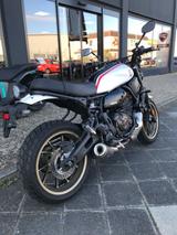 Yamaha XSR700  XTRIBUTE       1.Hand, alle Inspektionen - YAMAHA XSR 700 XTRIBUTE
