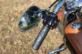 Harley-Davidson Fatboy  FLSTF - Angebote entsprechen deinen Suchkriterien