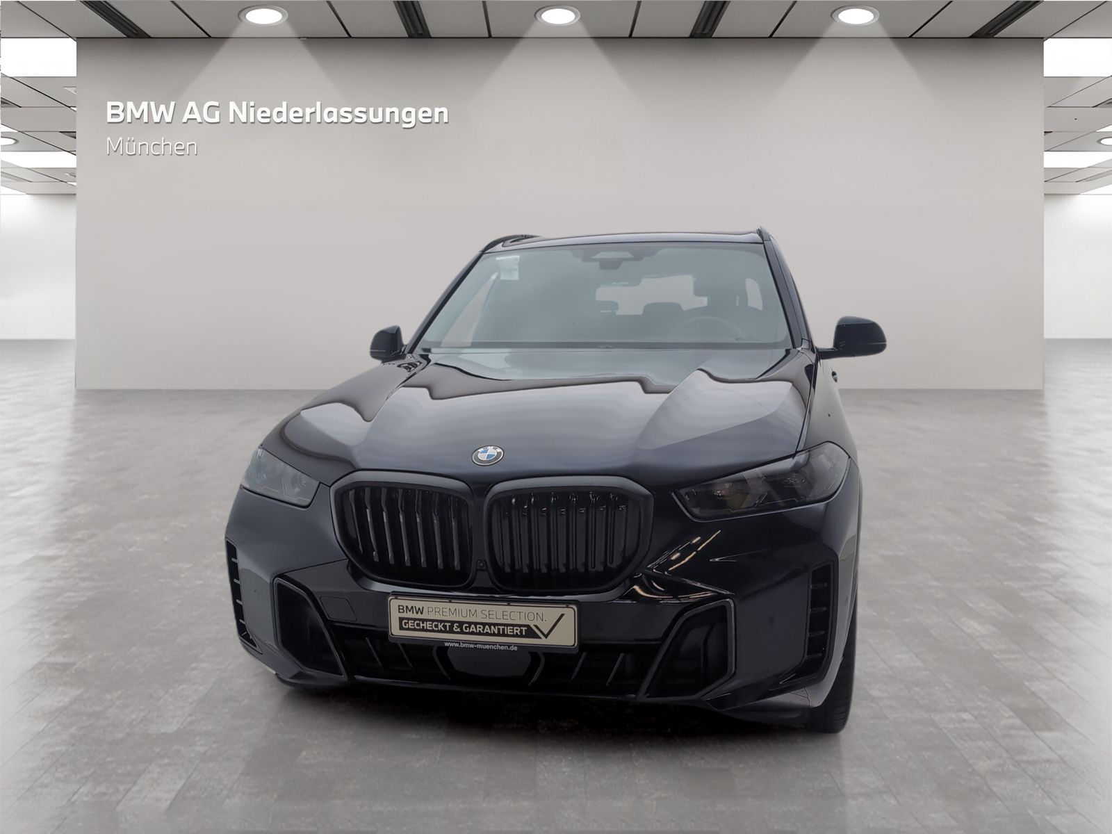 BMW X5 xDrive40d M Sport Standheizung AHK Harman K foto 4