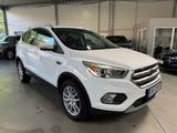 Ford Kuga Business Edition Navi|Keyless|LenkradHZ|PDC - Ford Kuga: Business Edition