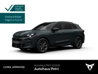 Cupra Terramar - Vorschau Bild 1