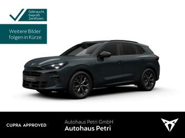 Cupra Terramar - 1