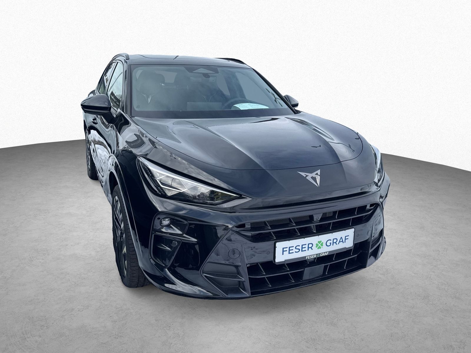 Cupra Terramar - Bild 3