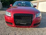 Audi A3 8P Motor 1.6 SR Sportback neuer ZR... - Audi A3: Motor