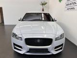 Jaguar XF R-Sport*MERIDIAN* *NAVI*CAM*ACC*HUD*20 ZOLL* - Jaguar XF Gebrauchtwagen
