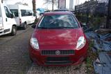 Fiat Punto 1.4 8V Active - Fiat Punto in Essen