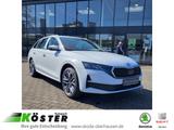 Skoda Octavia Combi 2.0 TDI 110 kW 7G DSG*AHK*ACC*SIDE - Skoda Octavia Neuwagen in Essen