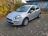 Fiat Punto 1,2 Tüv neu 19000 km - Fiat Punto in Berlin