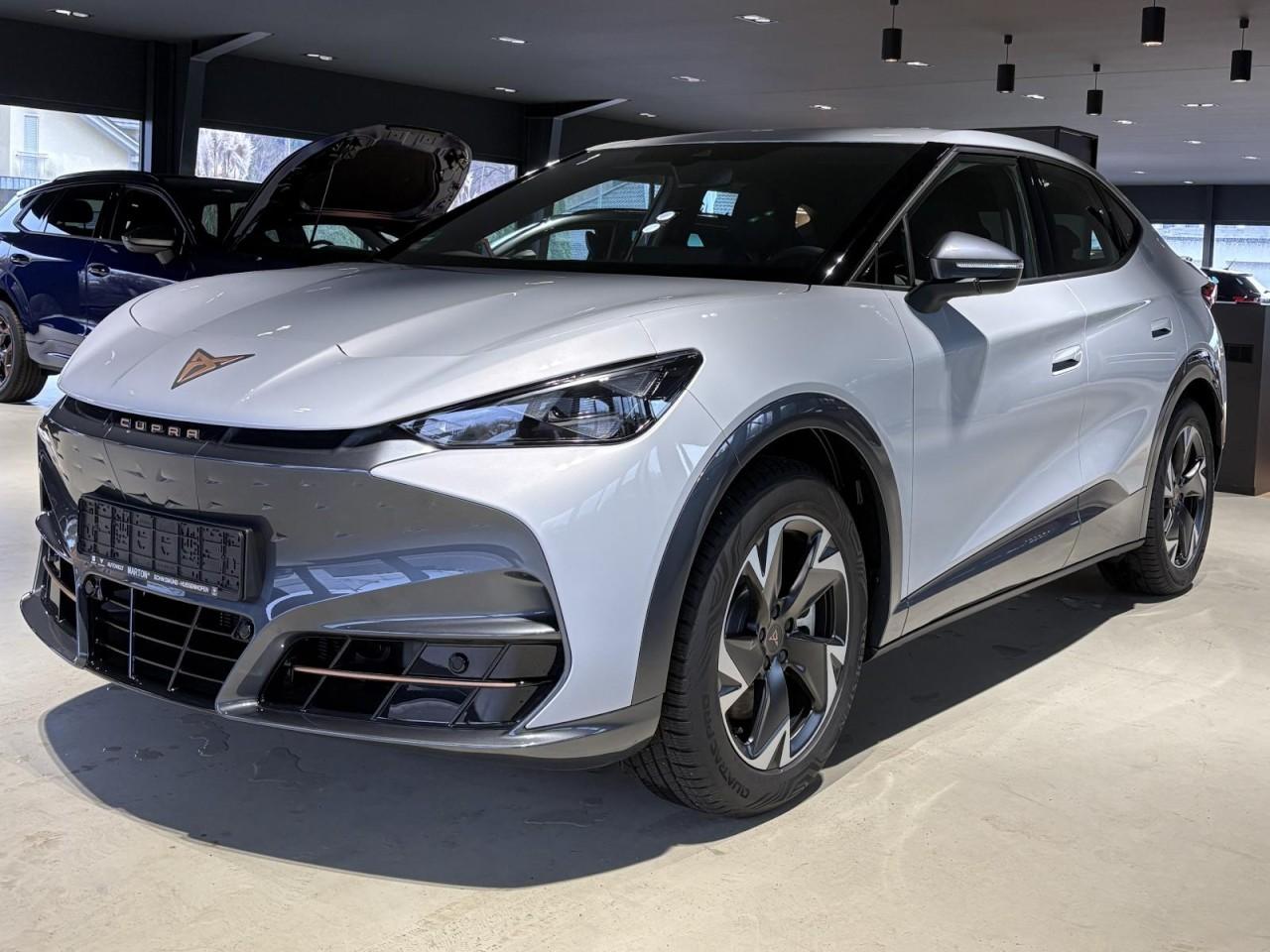 Cupra Tavascan Endurance Klima Rückfahrkamera