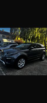 Andere Range Rover Evoque 2.0 TD4 4x4 | nur 76.80... - Evo 7 Gebrauchtwagen