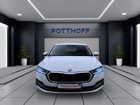 Skoda Octavia - Vorschau Bild 8