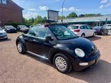 Volkswagen Beetle  Cabriolet 1.4*GARANTIE*TÜV/ZAHNR.NEU* - Volkswagen Beetle aus 2006: Cabrio