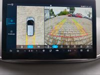 BYD DOLPHIN - Vorschau Bild 11