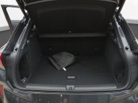 Cupra Terramar - Vorschau Bild 19