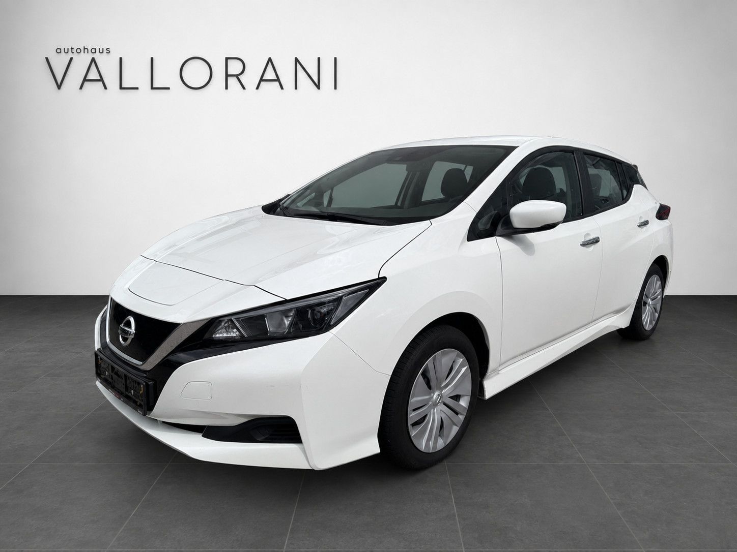 Nissan Leaf Basis