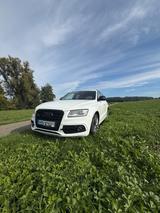 Audi SQ5 3.0 TDI plus quattro/Pano/BO/Rautenstep/AHK - weiße Audi SQ5