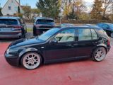 Volkswagen Golf IV Lim. Special Umbau - Volkswagen Golf: Limousine, Iv