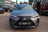 Lexus UX 250 h Style Edition , ACC, LED, RFK - Lexus aus 2021