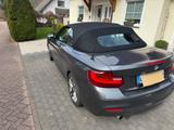 BMW 218i Cabrio Sport Line Sport Line - BMW mit Benzin-Antrieb: Alcantara, Cabrio