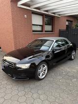 Audi A5  Cabriolet - Audi A5 in Osnabrück