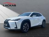 Lexus UX 250 h*EXECUTIVE*HUD*LEDER*SCHIEBEDACH - Lexus aus 2023